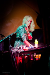 Everything Shook Electric Picnic Robyn desk photo Tadhg Nathan